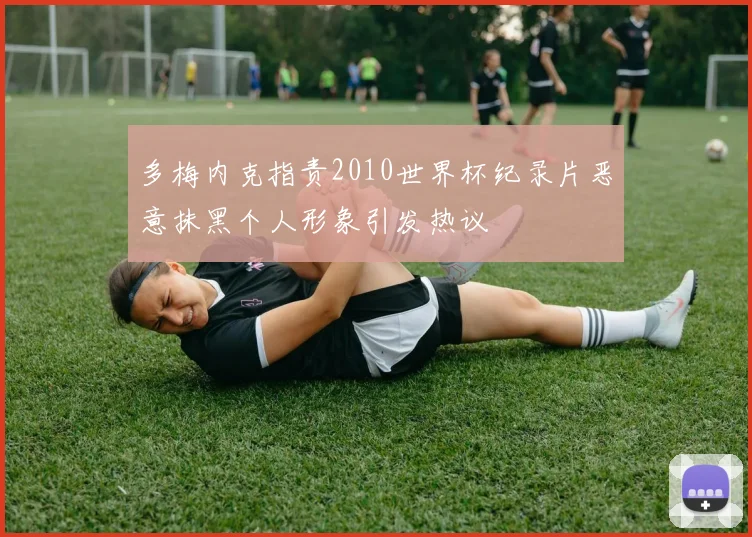 多梅内克指责2010世界杯纪录片恶意抹黑个人形象引发热议
